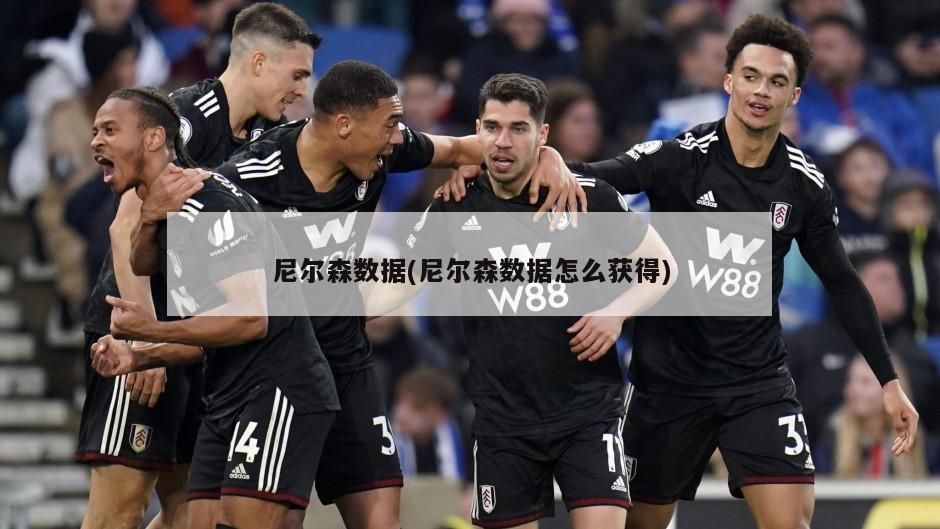 尼尔森数据(尼尔森数据怎么获得)-第1张图片-海莱特体育