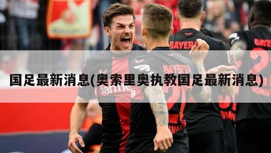 国足最新消息(奥索里奥执教国足最新消息)-第1张图片-海莱特体育