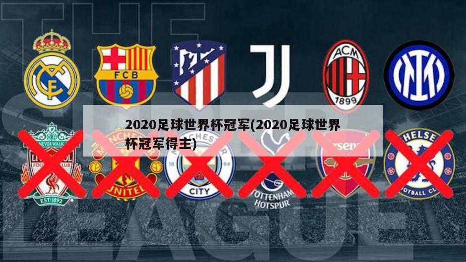 2020足球世界杯冠军(2020足球世界杯冠军得主)-第1张图片-海莱特体育