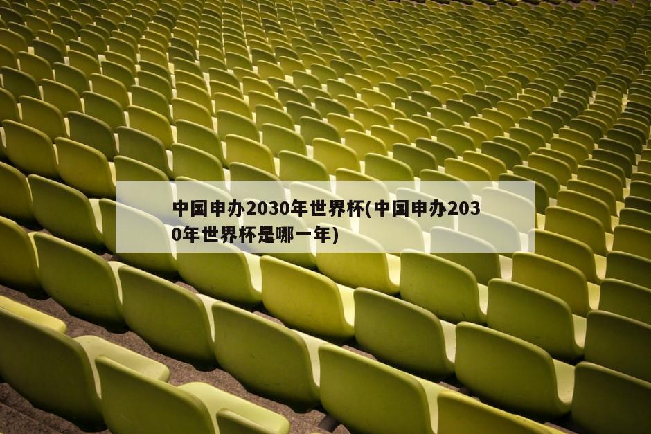 中国申办2030年世界杯(中国申办2030年世界杯是哪一年)-第1张图片-海莱特体育