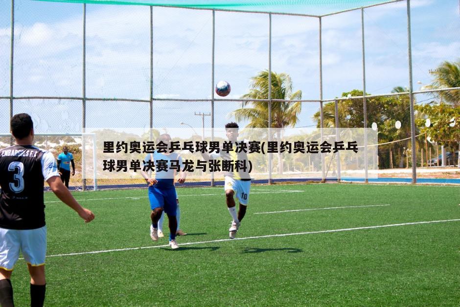 里约奥运会乒乓球男单决赛(里约奥运会乒乓球男单决赛马龙与张断科)-第1张图片-海莱特体育