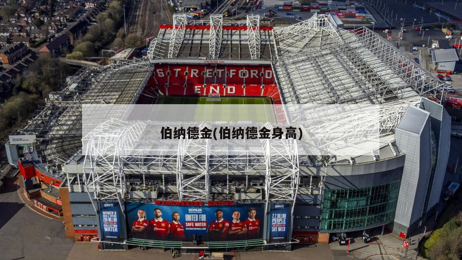 伯纳德金(伯纳德金身高)-第1张图片-海莱特体育