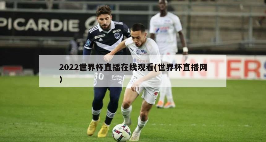 2022世界杯直播在线观看(世界杯直播网)-第1张图片-海莱特体育