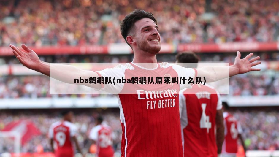 nba鹈鹕队(nba鹈鹕队原来叫什么队)-第1张图片-海莱特体育