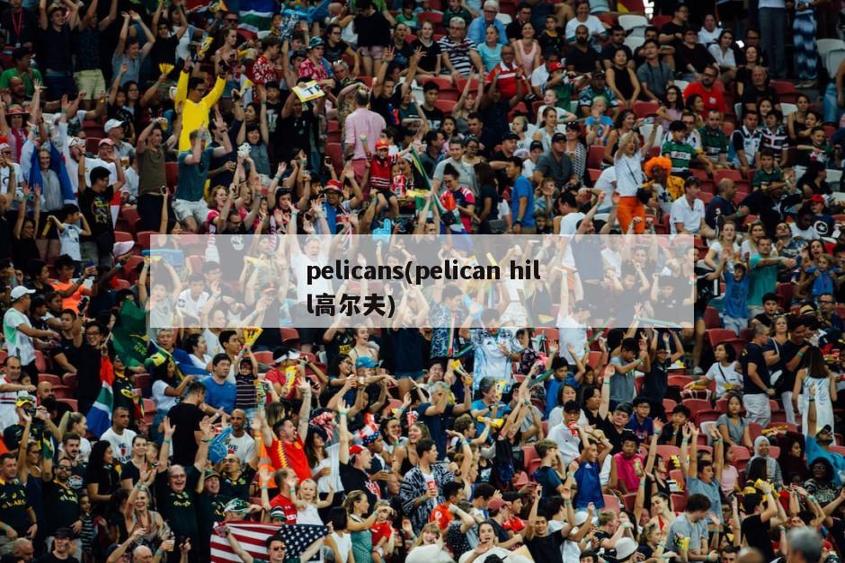 pelicans(pelican hill高尔夫)-第1张图片-海莱特体育