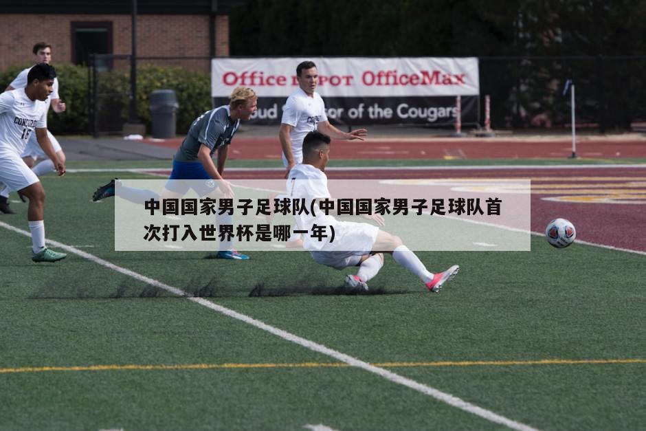 中国国家男子足球队(中国国家男子足球队首次打入世界杯是哪一年)-第1张图片-海莱特体育