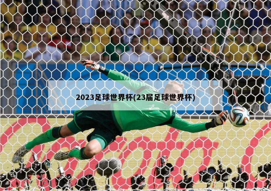 2023足球世界杯(23届足球世界杯)-第1张图片-海莱特体育