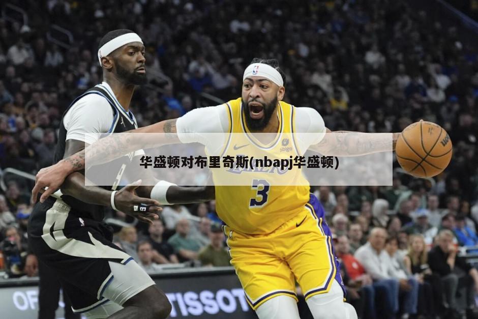 华盛顿对布里奇斯(nbapj华盛顿)-第1张图片-海莱特体育