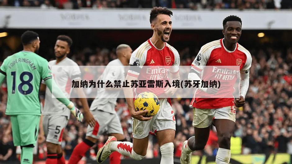 加纳为什么禁止苏亚雷斯入境(苏牙加纳)-第1张图片-海莱特体育