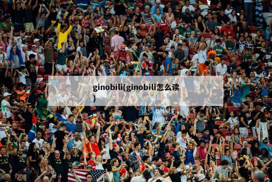 ginobili(ginobili怎么读)-第1张图片-海莱特体育