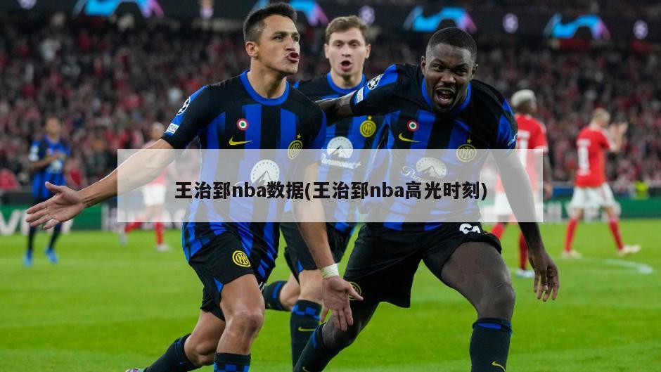 王治郅nba数据(王治郅nba高光时刻)-第1张图片-海莱特体育