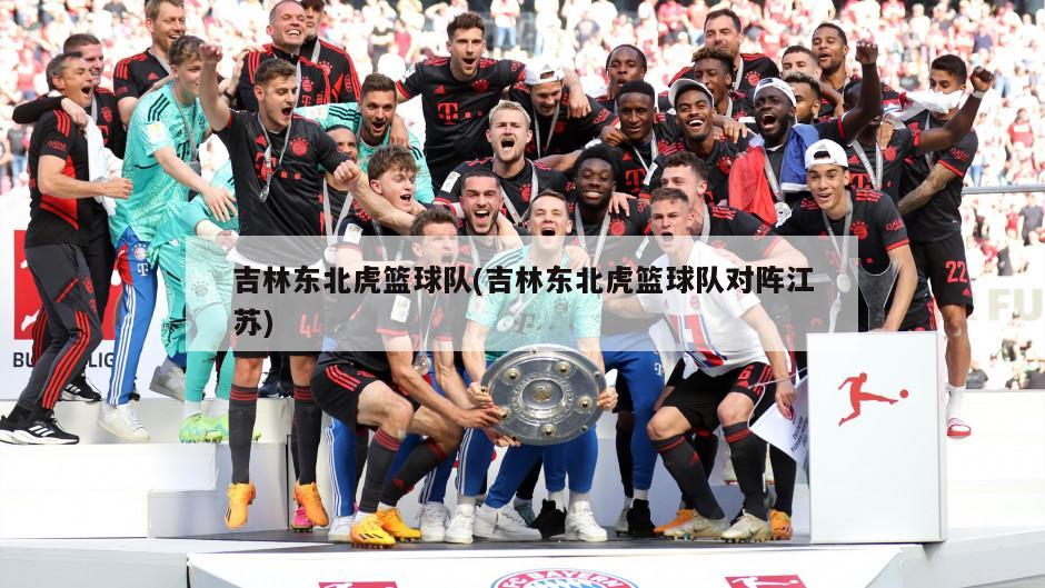 吉林东北虎篮球队(吉林东北虎篮球队对阵江苏)-第1张图片-海莱特体育