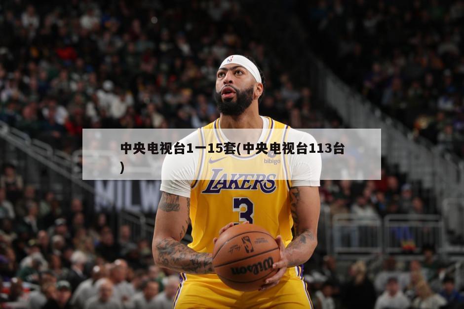 中央电视台1一15套(中央电视台113台)-第1张图片-海莱特体育