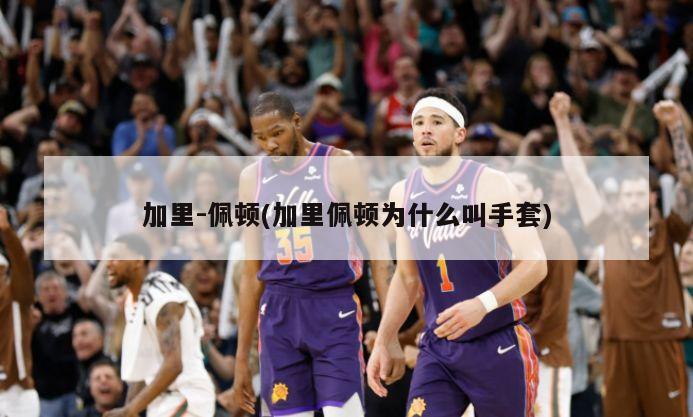 加里-佩顿(加里佩顿为什么叫手套)-第1张图片-海莱特体育