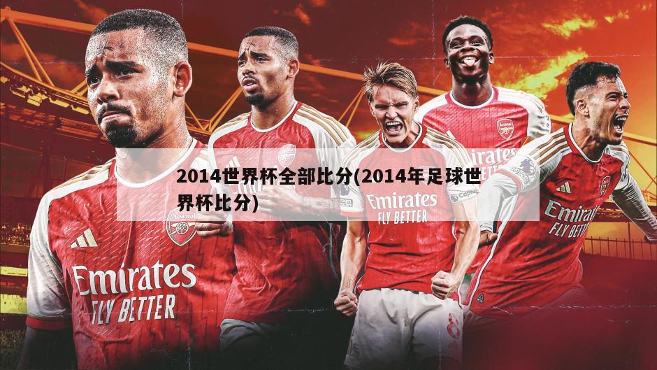 2014世界杯全部比分(2014年足球世界杯比分)-第1张图片-海莱特体育