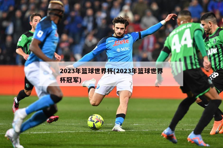 2023年篮球世界杯(2023年篮球世界杯冠军)-第1张图片-海莱特体育