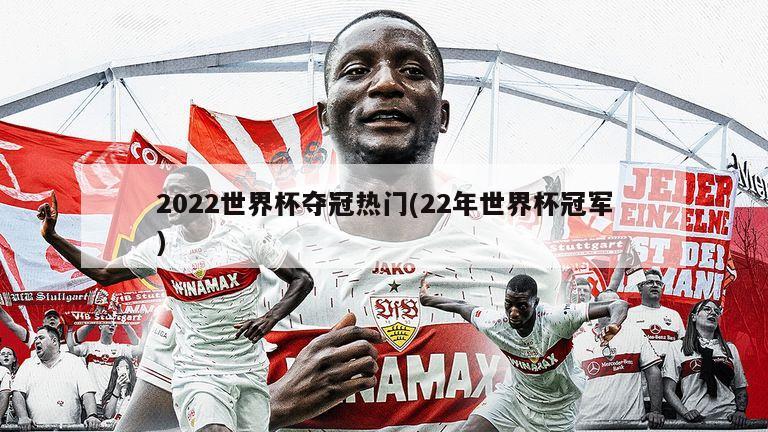 2022世界杯夺冠热门(22年世界杯冠军)-第1张图片-海莱特体育