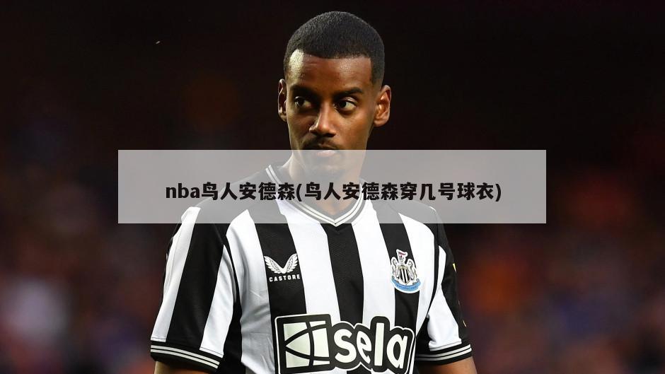 nba鸟人安德森(鸟人安德森穿几号球衣)-第1张图片-海莱特体育